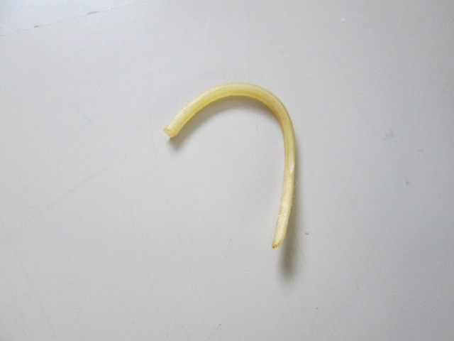 d33b47bf.jpg