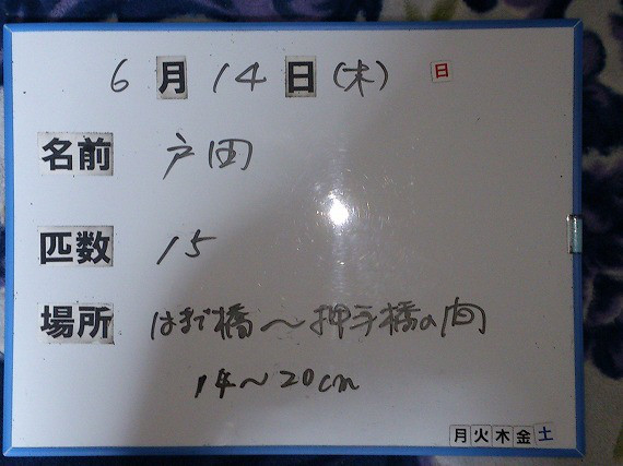 d42c8569.jpg
