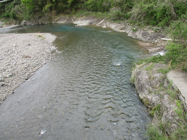 d4c6f95d.jpg