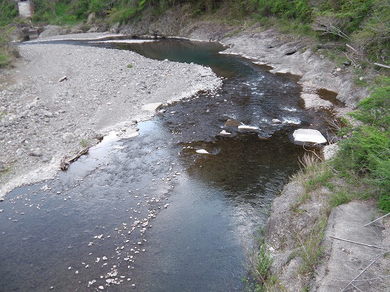 d537e512.jpg