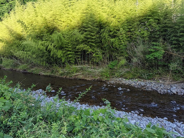 PXL_20220612_081802506