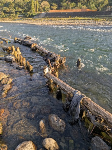 PXL_20251011_075125509.MP