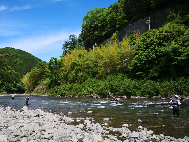 IMG_20200521_105200_1