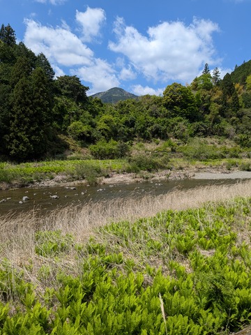 PXL_20250429_024522337.MP