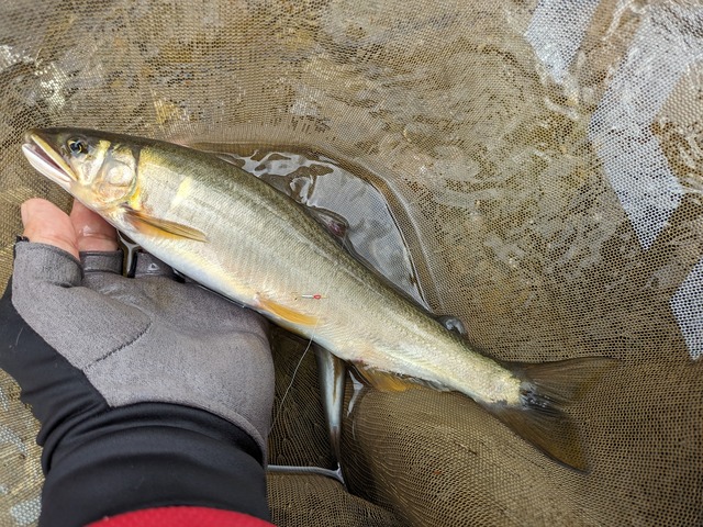 PXL_20230930_041624059.MP