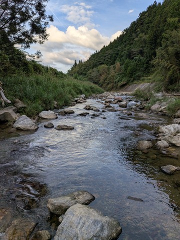PXL_20240927_073956222.MP