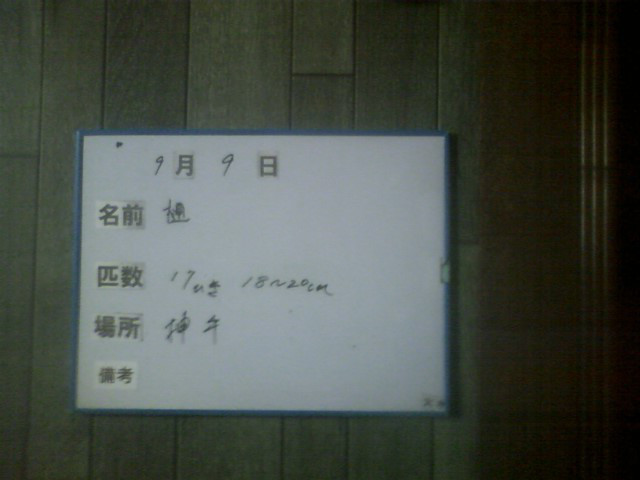 dcdbeca8.jpg