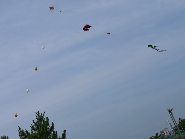 IMG_20200629_130133