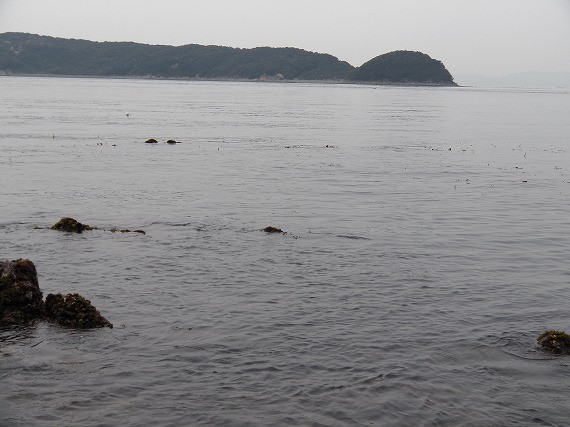 dfb27098.jpg