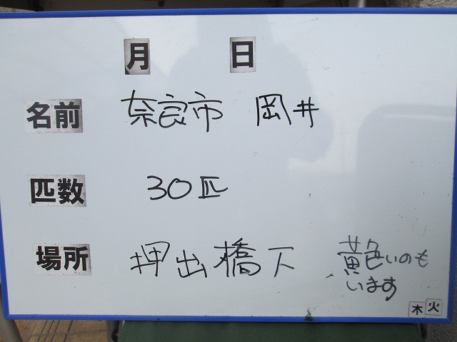 e0597ca6.jpg