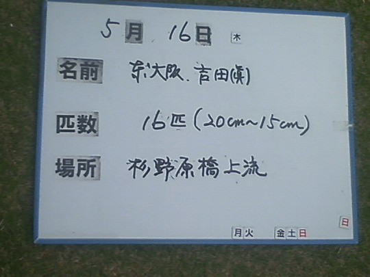 e276a004.jpg