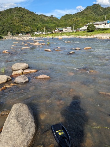 PXL_20240826_065029328.MP