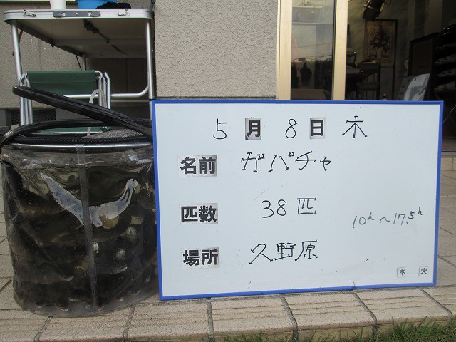 e60cf704.jpg