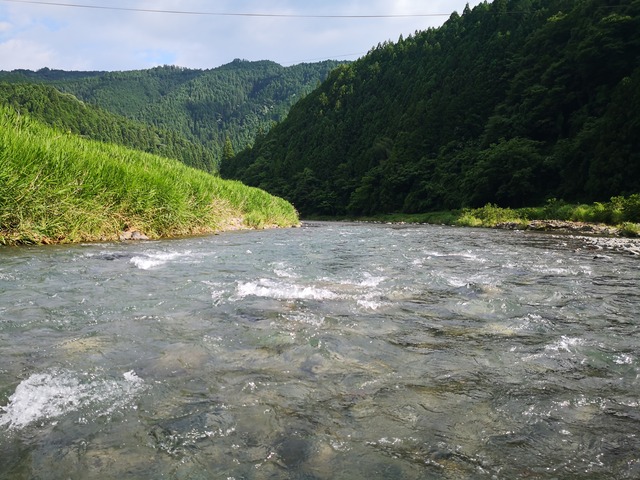 IMG_20200623_160955_2