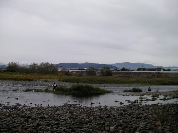 e9d30015.jpg