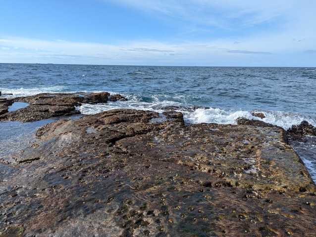 PXL_20230113_042830142
