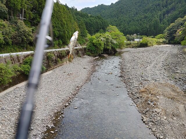20210424_132956_HDR