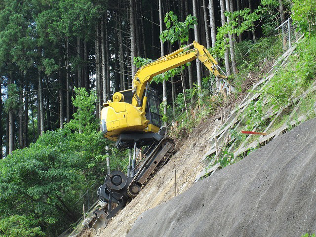 ed02edf5.jpg