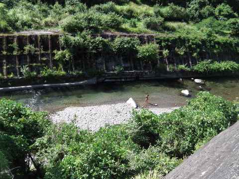 IMGA0313