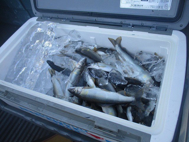 ef9cafd3.jpg