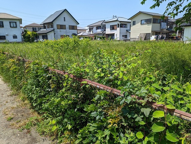 PXL_20220522_032357386