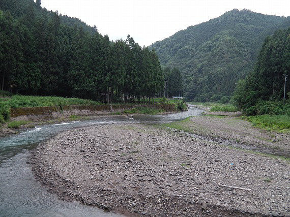 f0f77561.jpg