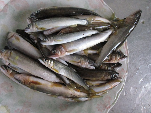 f1033162.jpg