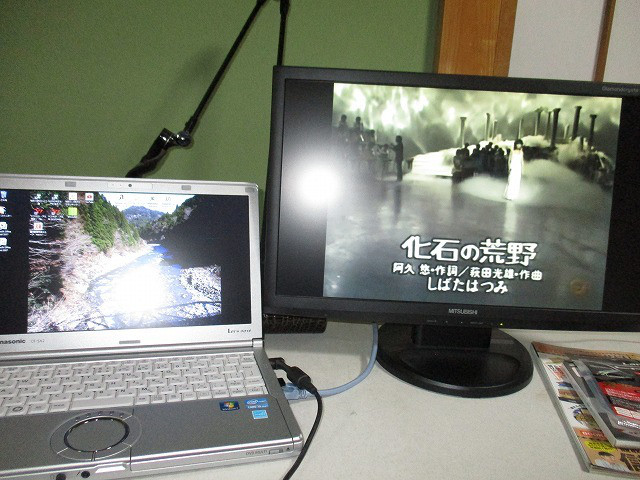 f104a55c.jpg