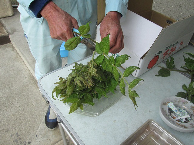 f17792f5.jpg