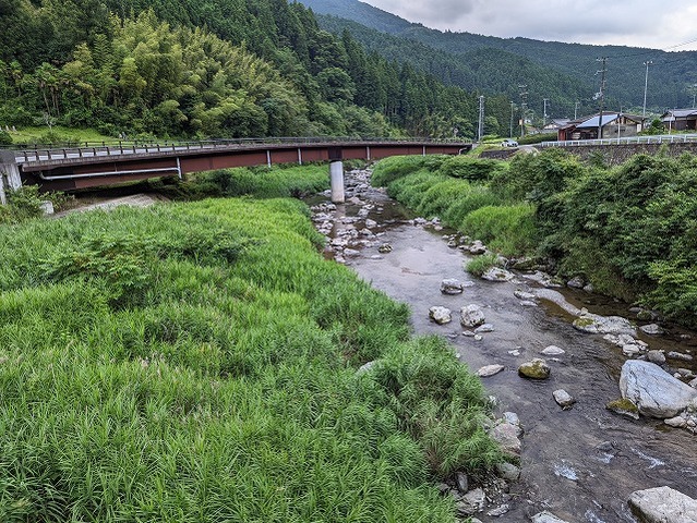 PXL_20220805_083702392