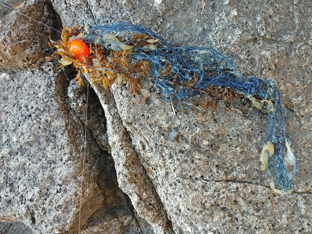 20220122_131408_HDR