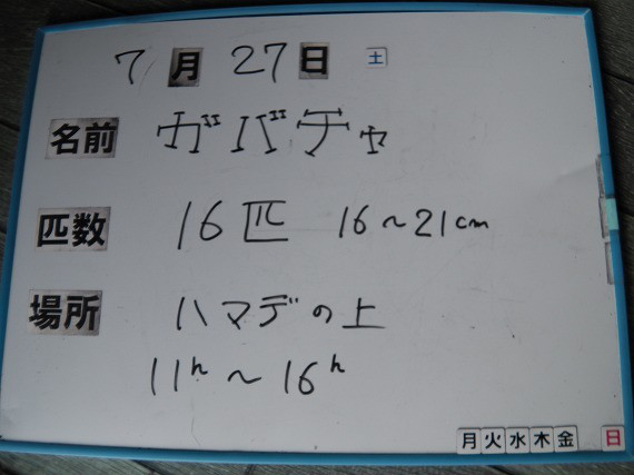f4f48e4c.jpg