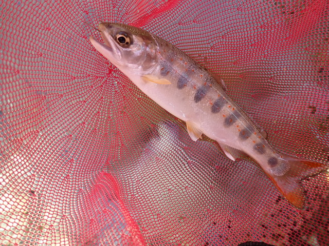 P3271720