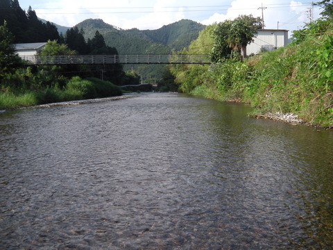 IMGA0303