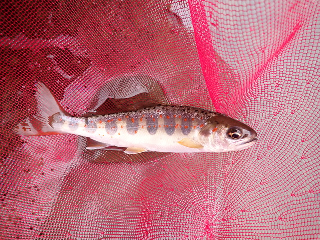 P3050837