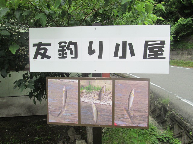 f63d9992.jpg