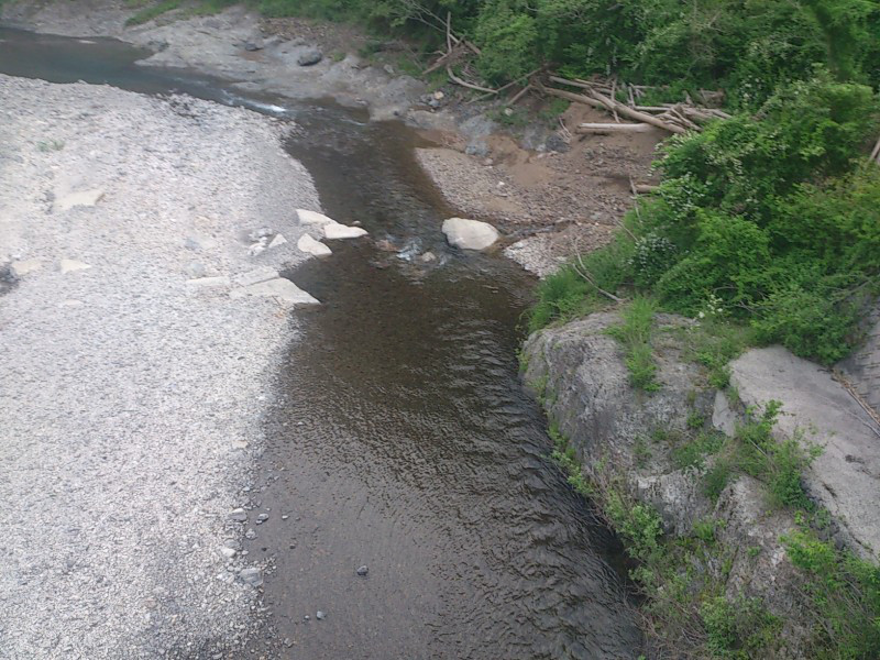 f7492568.jpg