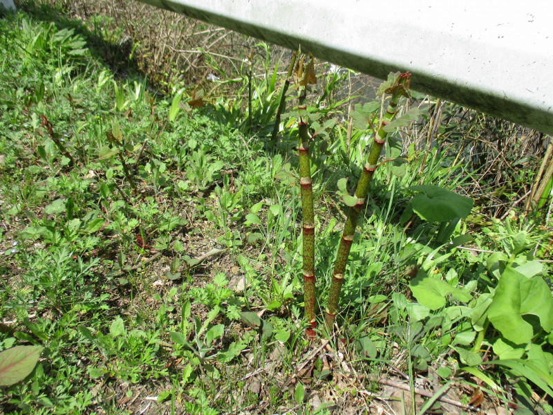 f7b86849.jpg