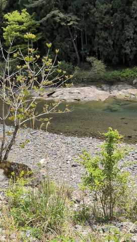 Screenshot_20250429-194201