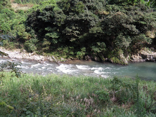 f8f8915c.jpg