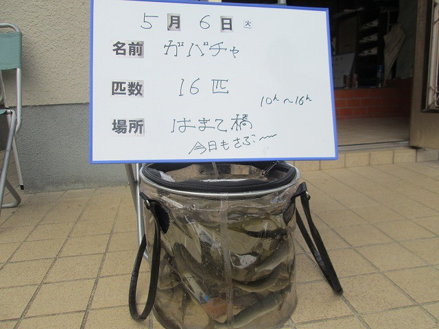 f9c18037.jpg