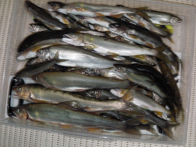 f9e77696.jpg