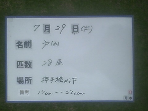 CA3E0826