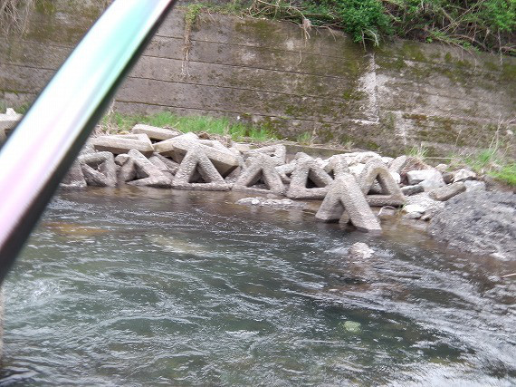 fd3887b9.jpg