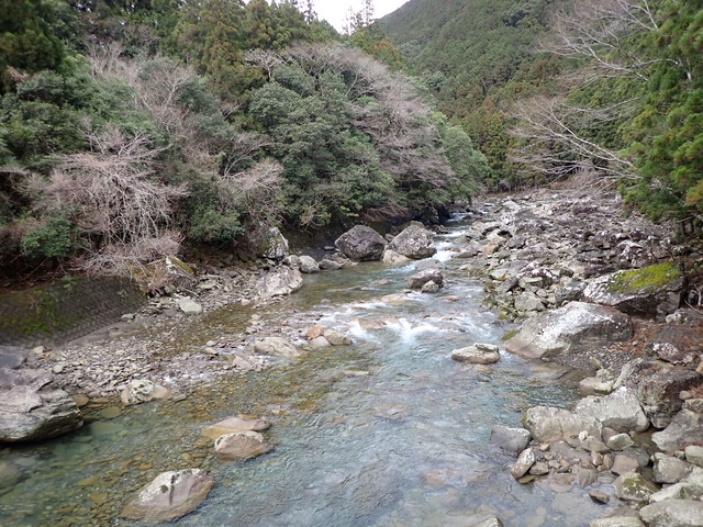 P3050831