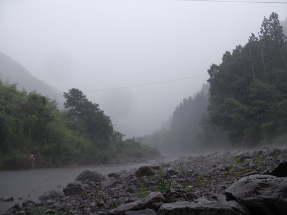 ff329a98.jpg