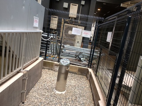 IMG_20250612_090926911_HDR