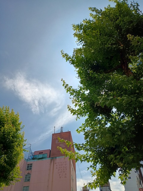 IMG_20250616_090223390_HDR