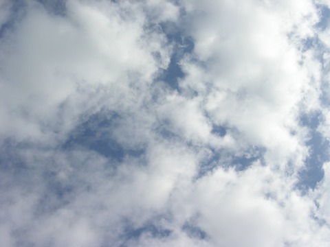 PICT0010 (1)