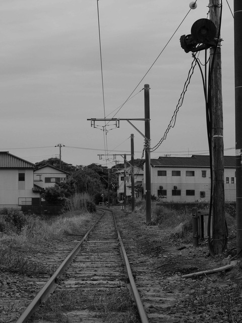 DSCF5512